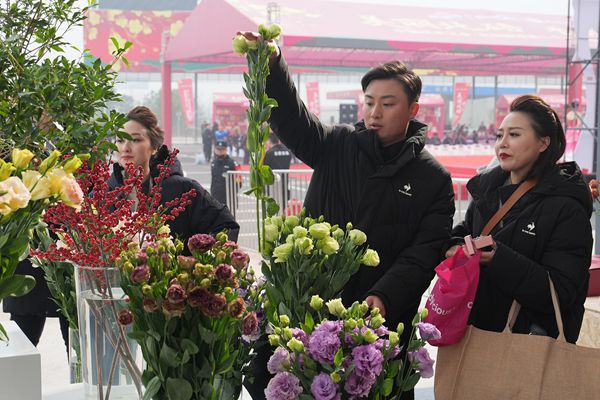 开幕式现场，市民选购鲜花。秦廷富  摄
