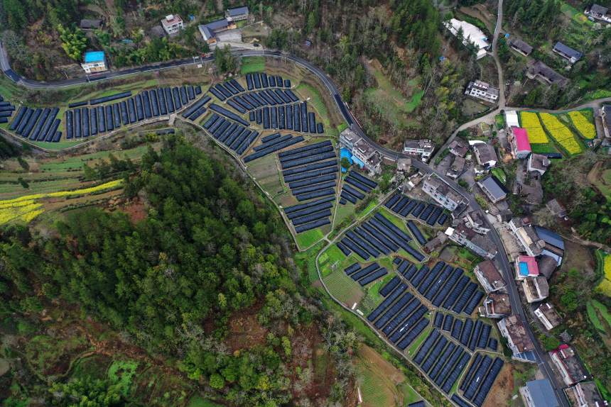 鳥瞰重慶市黔江區鵝池鎮方家村羊肚菌種植基地一角。楊敏攝