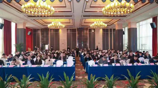 会议现场。重庆市教育国际交流协会基础教育专委会供图