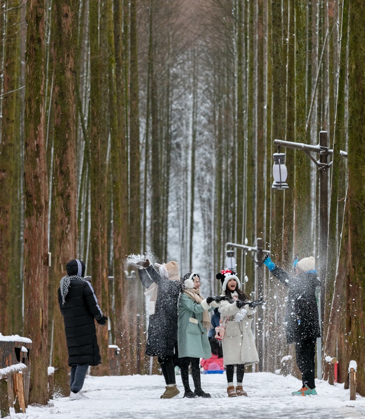 1月22日，南川區喀斯特國家生態園，游客在雪中嬉戲。通訊員 羅川 攝/視覺重慶