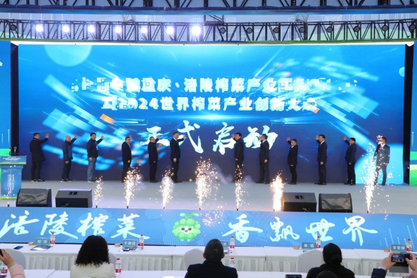 第六届中国重庆·涪陵榨菜产业国际博览会开幕。胥世鹏摄