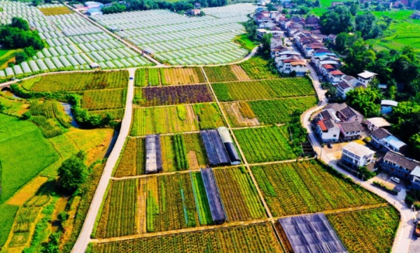 新民现代农业园。垫江县融媒体中心供图