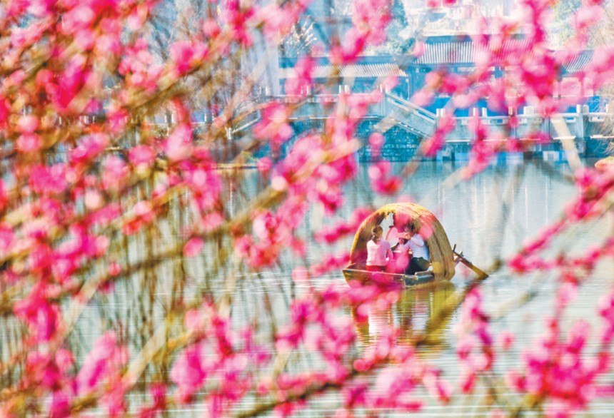 2月11日，南川区大观镇铁桥村梅华园，市民在赏梅欢度春节假期。通讯员 胡波 摄/视觉重庆