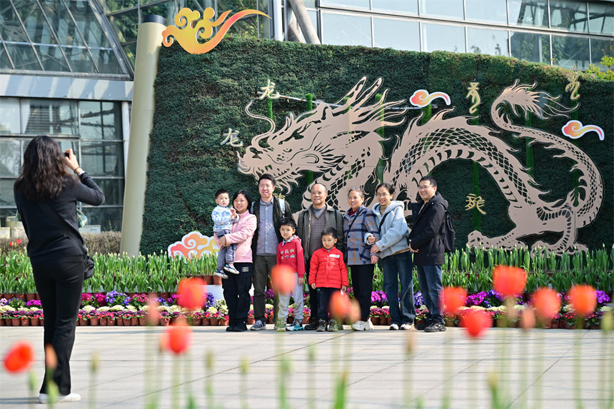 重庆南山植物园，市民游客前来赏花踏春欢度新春佳节。郭旭摄