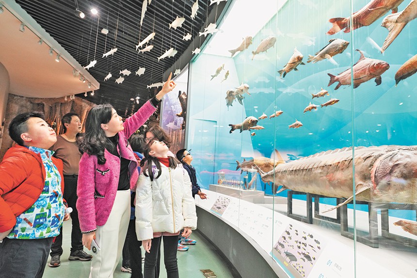 2月13日，位于北碚区的重庆自然博物馆里游人如织，不少家长带着孩子来到这里参观游玩，充实春节假期生活。特约摄影 秦廷富/视觉重庆
