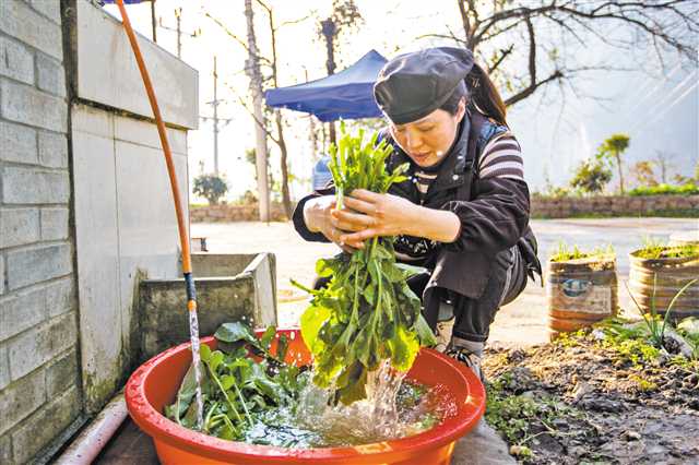 1月12日，巫山县竹贤乡下庄村，杨慈正在自家农家乐里洗菜备餐。