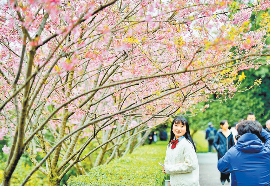 2月26日，重庆园博园，市民赏花留影。记者 谢智强 摄/视觉重庆