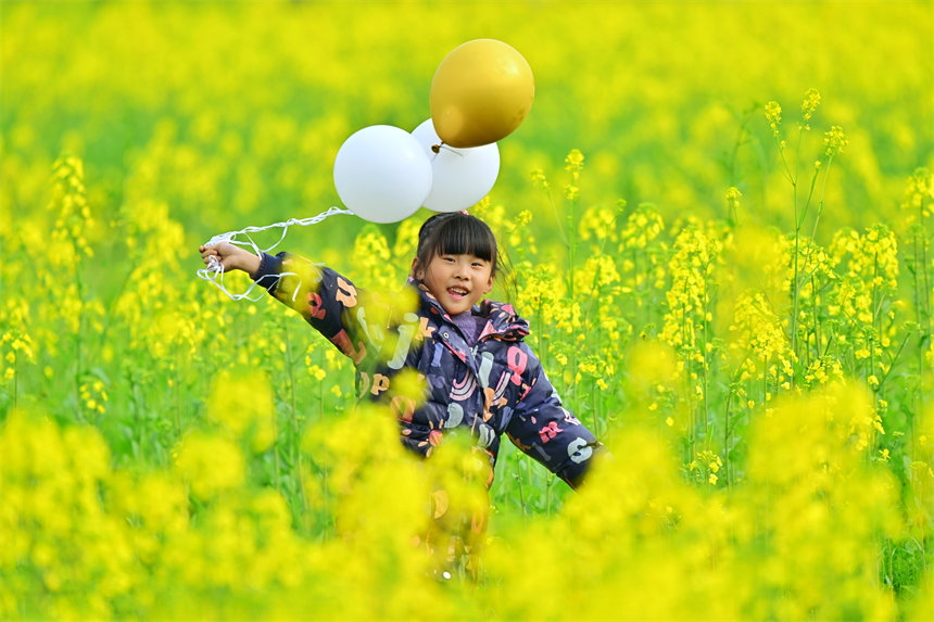 一位小朋友在油菜花田間游玩。郭旭攝