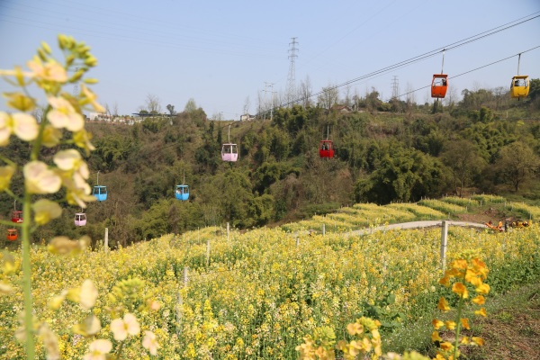 LOCAL1710156092781GVXKBS5WF8.jpg