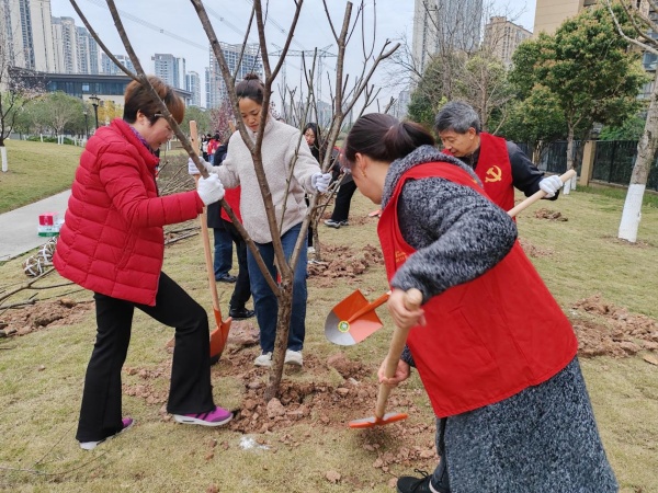 重庆高新区虎溪街道：植树护林共建绿色环保家园
