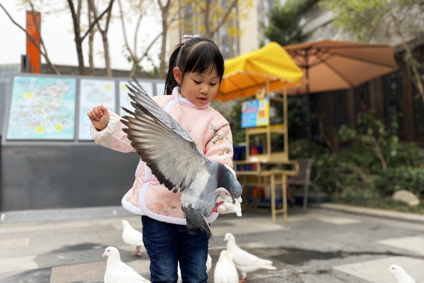 給小動物喂食。朝陽幼教集團供圖