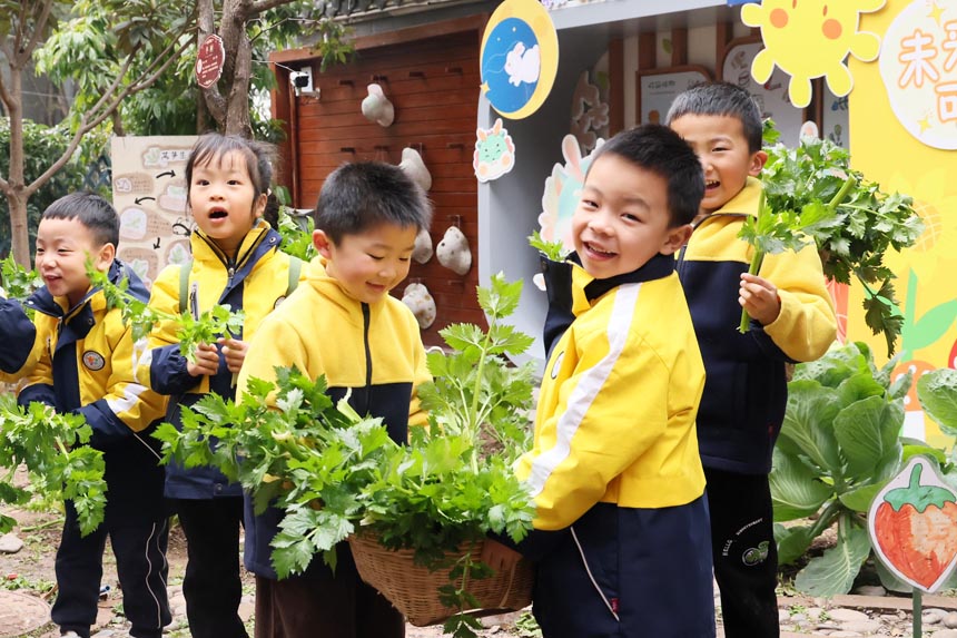 收获的快乐。朝阳幼教集团供图