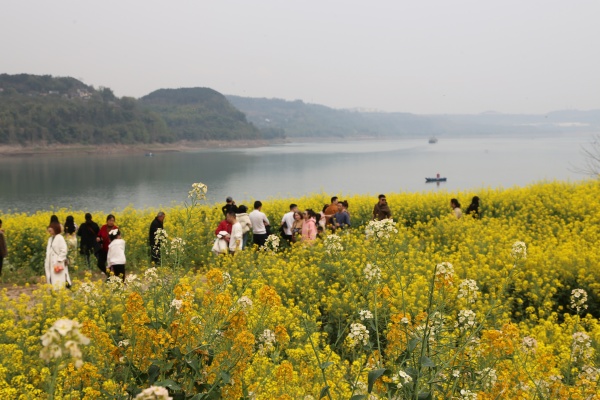 游客在“沿江花海”中游玩。景区供图