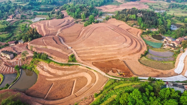 永兴镇已实施宜机化改造2.13万亩。官黎 摄