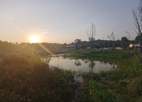 修复后的宝贝果园湿塘。重庆市市政院公司供图