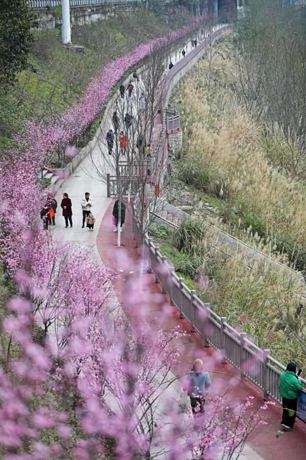 市民正在优美如画的“口袋公园”里健身、休闲、娱乐。赵勇摄