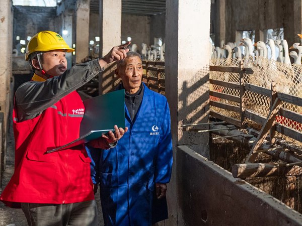 電力網格員對養殖場進行安全用電檢查。國網重慶永川供電公司供圖