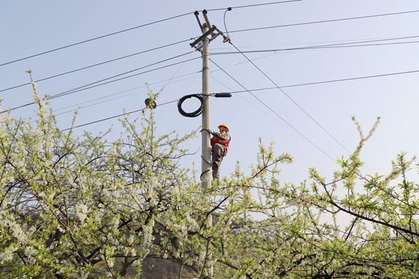 電力員工爬杆檢修農村10千伏線路。國網重慶永川供電公司供圖