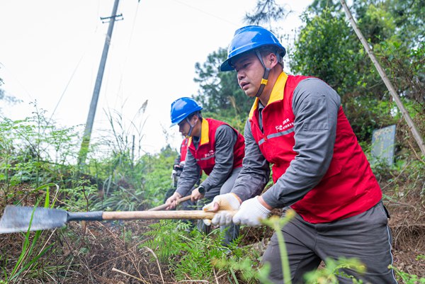 服务队队员对输配电线路走廊内的树木、灌木进行修剪。国网重庆永川供电公司供图