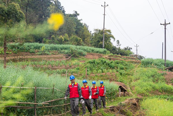 服务队加强山林、乡镇日常巡查和隐患排查整治工作。国网重庆永川供电公司供图