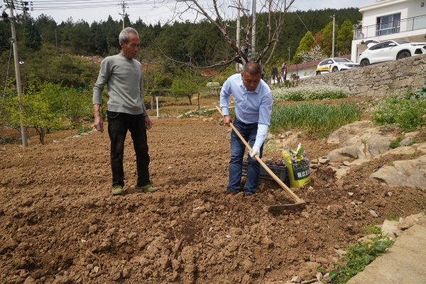 劉海利指導農戶根據魔芋的生長需求，合理安排灌溉和施肥計劃。 齊宏 攝