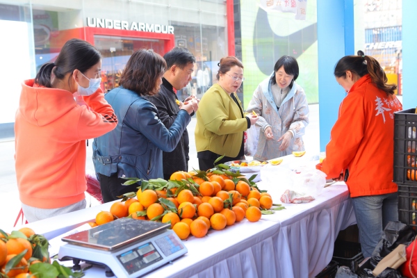 奉節臍橙吸引市民購買。主辦方供圖
