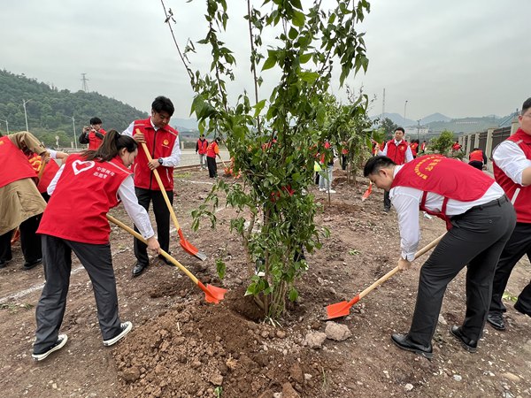 国企青年们种下“廉洁树”。重庆市国资委团工委供图