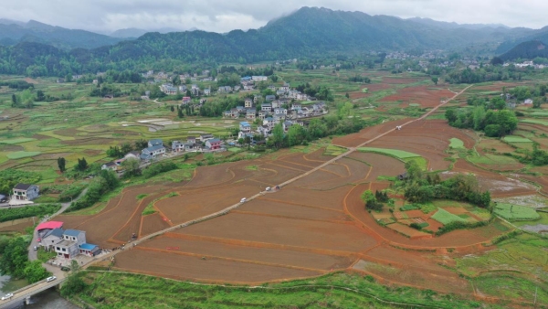 秀山县在新建的高标准农田里首次推广“飞播”旱稻技术。秀山县委宣传部供图
