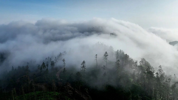 龍水湖巴岳山雲瀑奇觀。大足區融媒體中心供圖