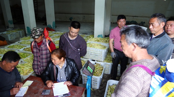 村民将新采的竹笋销售给收购方。龙桥土家族乡供图