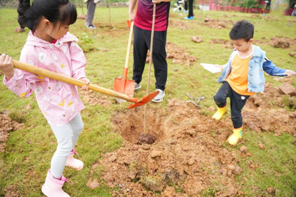 孩子们在公园种下树苗。中国电建地产供图