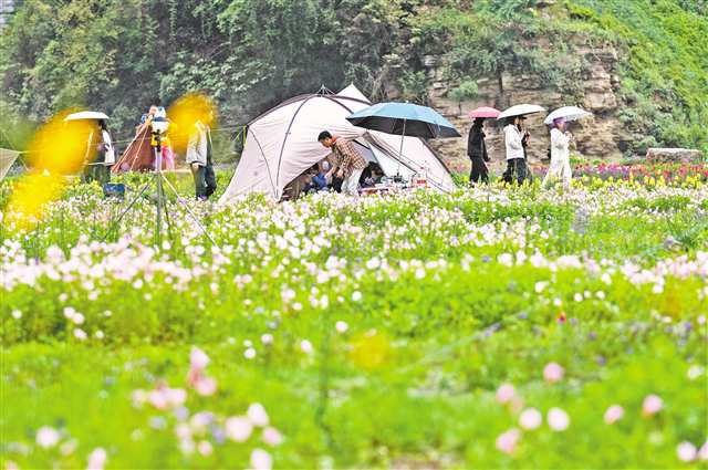 5月2日，南川區三泉鎮萬卷書台景區，游客在露營游玩。通訊員 羅川 攝/視覺重慶