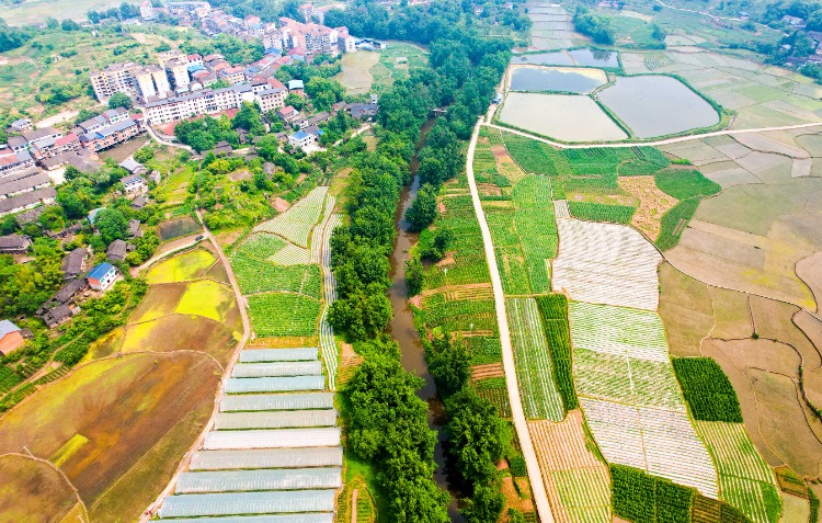 5月7日，墊江縣杠家鎮龍鳳社區大沙河沿岸，連片的蔬菜基地繪就產業興旺的鄉村美景。通訊員 龔長浩 攝