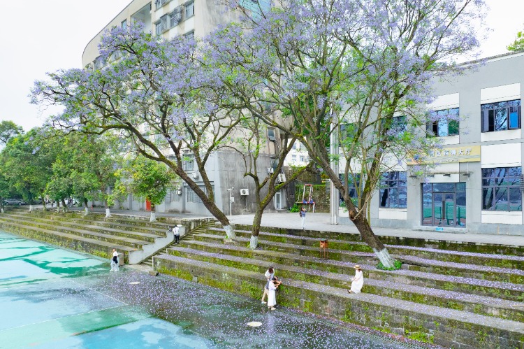 5月10日，西南大學第四運動場，市民在藍花楹下打卡拍照。記者 李雨恆 攝