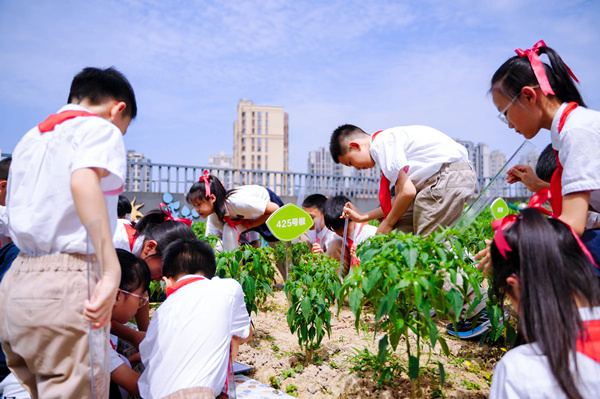 渝北區中央公園小學校《探秘辣椒》課堂展示。渝北區中央公園小學校供圖