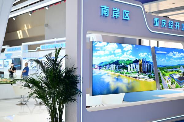 南岸區、重慶經開區展館。郭旭攝