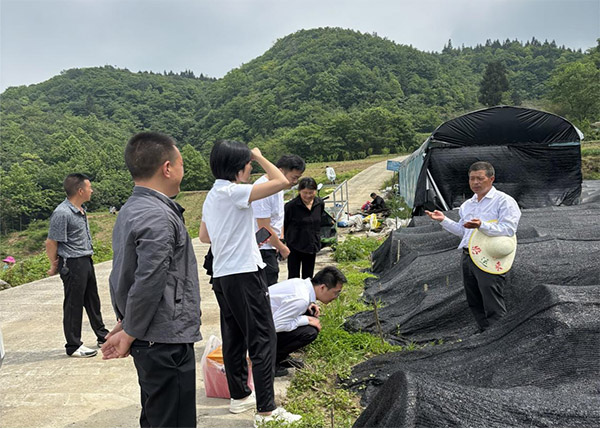 走訪調研當地特色產業。西南証券供圖