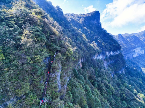 2023年金佛山登山賽。受訪單位供圖