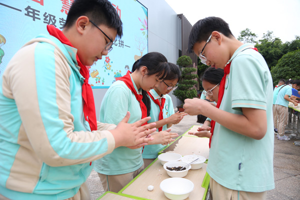 包汤圆。橡树湾小学供图