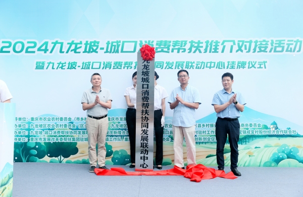 九龙坡—城口消费帮扶协同发展联动中心揭牌成立。主办方供图
