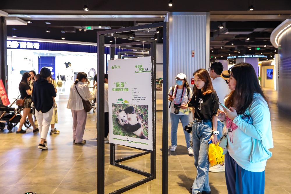 6月8日，渝北区新光天地举办的熊猫主题科普摄影展现场，不少市民正在观展。记者 尹诗语 摄
