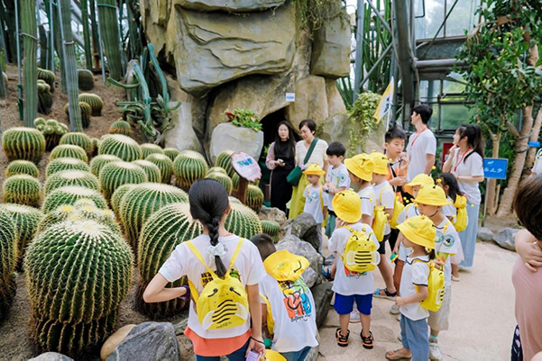 重庆市南山植物园开展“甜蜜课堂”研学活动。重庆万科供图