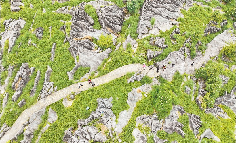 重庆岩溶土地自然恢复植被173万亩