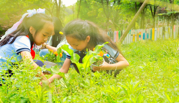 劳动素养课程。重庆市大渡口小学供图