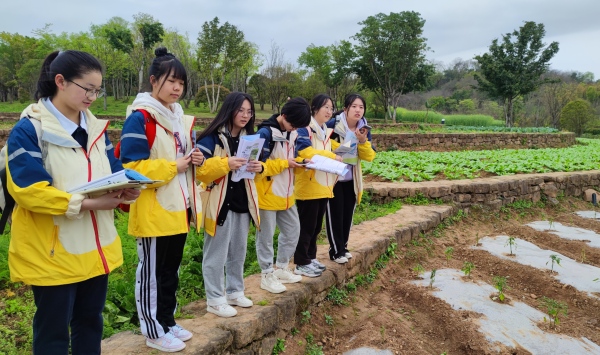 学生走进广阳岛。重庆市南坪中学校供图