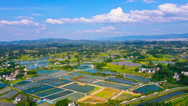 梁平區禮讓鎮川西村。劉輝攝