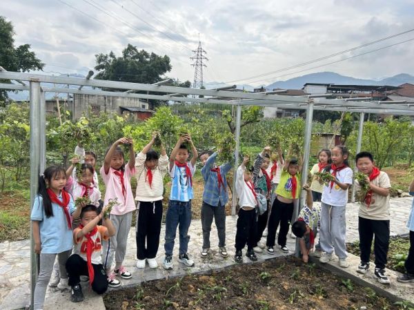 戶外體驗館活動。新華小學供圖