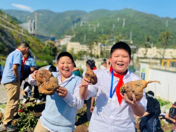 红薯的前世今生。武隆区凤溪小学供图