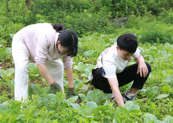 实践团体验拔草农事活动。重庆理工大学供图