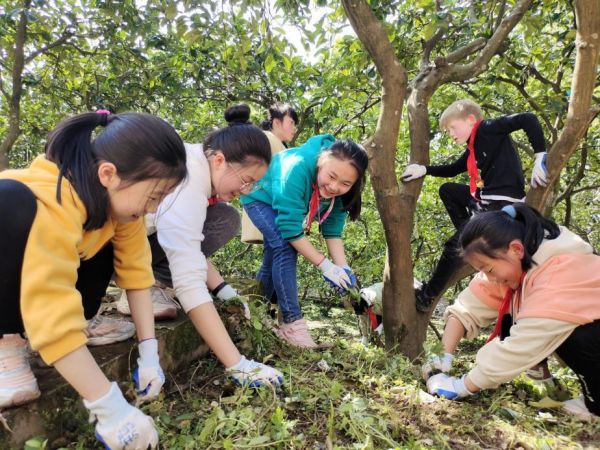 學生在勞動實踐基地鋤草。實驗小學供圖